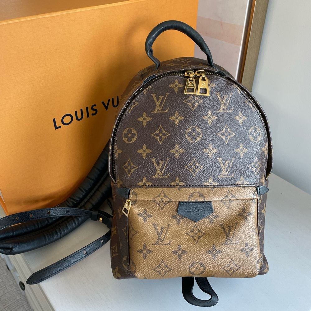 Louis Vuitton LV Authentic Palm Springs PM Reverse Monogram backpack